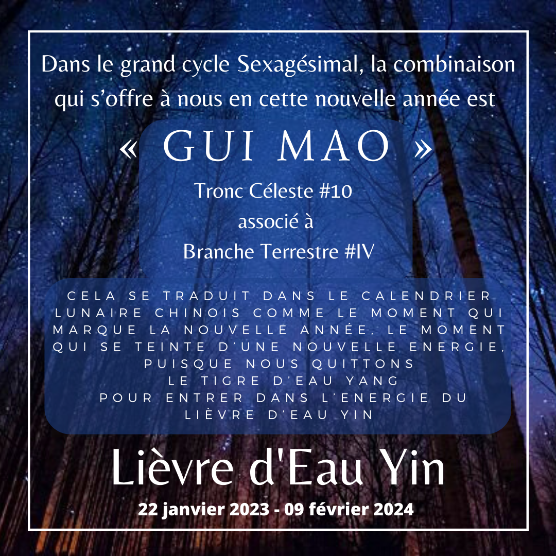 GUI MAO Lièvre d'eau